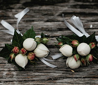 Button-hole-flowers1