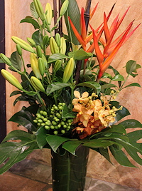 Feature Arrangements