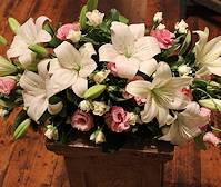 Feature Arrangements