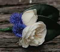 Button-hole-flowers1